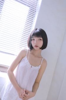 燕双鹰